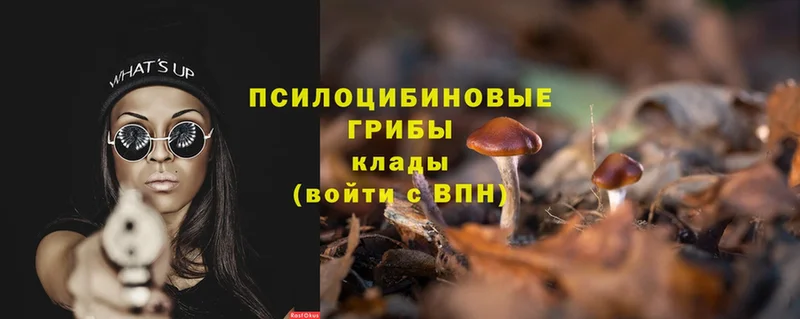 как найти закладки  Кадников  Галлюциногенные грибы Magic Shrooms 